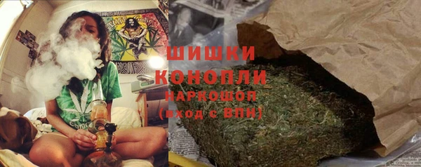 PSILOCYBIN Тында
